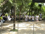 Thumbs/tn_Imagen 049.jpg